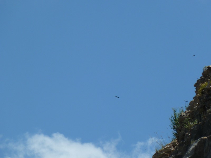 ../Images/2012-07-08-13h50m49 .jpg